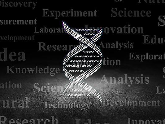포토 JPG 해외이미지 구름 아이콘 교육 산업 과학 백그라운드 컨셉 학교 아이디어 세포 나선형 건강 실험 사람없음 빛 약 꼬리표 우주 페인트 방 고통 수확 도시 진화 실험실 DNA 약국 심볼 분석 그림 질감 내추럴 혁명 개발 그런지 돌봄 옛날 유전 콘크리트 해외202004 해외202105 해외포토 자연요소 감정 무늬 농업 의학 모션 라벨 생명공학 소방 파일형식