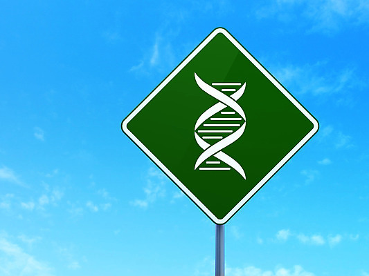 포토 JPG 해외이미지 구름 아이콘 교육 도로 과학 컨셉 학교 하늘 거리 간판 아이디어 세포 나선형 건강 실험 사람없음 초록색 파란색 약 3D 고통 흰색 고속도로 진화 실험실 DNA 약국 심볼 분석 사인 네비게이션 조제 내추럴 혁명 개발 돌봄 방법 유전 해외202004 해외202105 해외포토 자연요소 감정 길 컬러 무늬 의학 교통시설 모션 생명공학 소방 디지털합성 만들기 파일형식