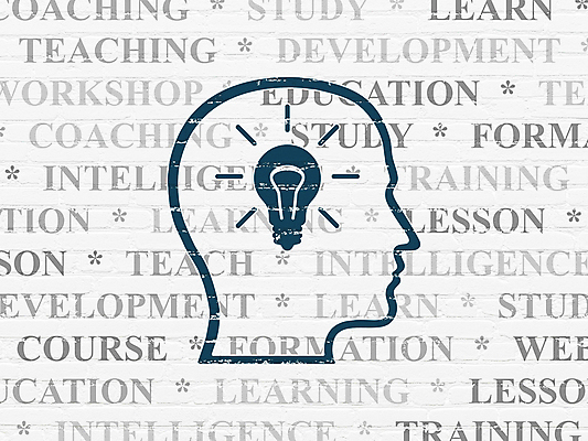 포토 JPG 해외이미지 구름 아이콘 교육 벽 백그라운드 운동화 컨셉 비즈니스 전구 벽돌 아이디어 사람없음 건물 금융 파란색 단어 스터디 머리 꼬리표 어둠 페인트 블록 정보 수확 흰색 마음 램프 가르침 강의 심볼 뇌 그림 리더 질감 폭풍 튜브 온라인 개발 그런지 온라인강의 해외202004 해외202105 해외포토 자연요소 문자 건축물 컬러 신발 농업 날씨 조명 신체부위 경제 학습 라벨 파일형식 언택트