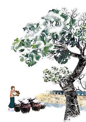 PSD 나무 그릇 계절 여자 백그라운드 겨울 일러스트 쟁반 한명 사람 풍경 20대 성인 30대 담장 설원 추위 눈 소나무 항아리 겨울음식 동치미 꺼내기 여자만 여자한명만 성인여자만 성인만 겨울배경 국내일러스트 자연요소 식물 1 식기 음식 모션 날씨 김치 눈_날씨 청년 장년 도자기 파일형식