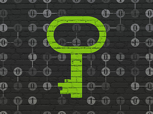 포토 JPG 해외이미지 아이콘 벽 백그라운드 컨셉 열쇠 벽돌 안전 사람없음 건물 초록색 빛 디지털 검은색 자료 어둠 페인트 블록 회색 정보 수확 범죄 균열 닫기 암호 보호 계획 공격 자르기 심볼 그림 질감 잠금 보안 시스템 그런지 로그인 방법 사생활 이진법 정책 해외202004 해외202105 해외포토 건축물 컬러 농업 모션 수학 파일형식