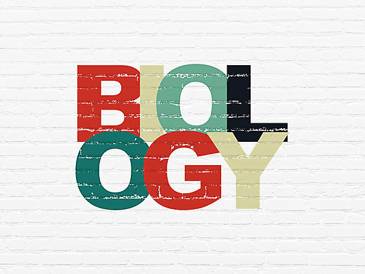 포토 JPG 해외이미지 직업 교육 벽 백그라운드 운동화 컨셉 비즈니스 텍스트 학교 성공 수업 벽돌 거리 사람없음 건물 단어 학습 스터디 컬러풀 페인트 블록 회색 시험 정보 수확 흰색 도움 가르침 강의 그림 질감 생물학 겹침 온라인 발견 개발 그런지 세미나 온라인강의 이러닝 웨비나 해외202004 해외202105 해외포토 문자 건축물 컬러 신발 농업 파일형식 언택트