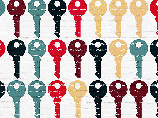 포토 JPG 해외이미지 아이콘 벽 백그라운드 컨셉 열쇠 벽돌 안전 사람없음 건물 컬러풀 디지털 자료 웹 페인트 블록 회색 정보 수확 흰색 수비 범죄 균열 닫기 암호 보호 공격 비밀 자르기 거절 심볼 그림 질감 잠금 보안 시스템 그런지 돌봄 로그인 사생활 정책 줄서기 해외202004 해외202105 해외포토 건축물 컬러 농업 인터넷 모션 파일형식