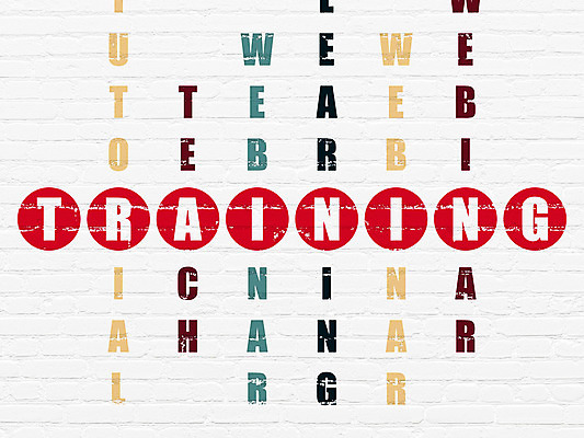 포토 JPG 해외이미지 교육 벽 백그라운드 운동화 컨셉 비즈니스 텍스트 학교 성공 수업 벽돌 거리 사람없음 건물 빨간색 단어 학습 스터디 페인트 블록 회색 정보 수확 게임 흰색 도움 원형 퍼즐 퀴즈 가르침 강의 그림 질감 온라인 해결 개발 그런지 온라인강의 이러닝 웨비나 해외202004 해외202105 해외포토 도형 문자 건축물 컬러 신발 농업 놀이 세미나 파일형식 언택트