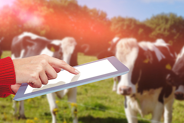 포토 JPG 해외이미지 식물 백인 직업 계절 여자 꽃 음식 벽 잎 꽃무늬 밭 농업 토마토 채소 오렌지 비즈니스 교통시설 자연 설계 콩 감자 아이디어 성인 사람없음 장식 캐주얼 30대 농작물 컬러풀 태블릿 노란색 정원 봄 샐러드 수확 성장 가을 신선 비즈니스우먼 개화 고급 우아함 농부 상추 땅 설탕 스마트 유기농 원예 생물학 양배추 복숭아 먼지 트랙터 추수감사절 10월 내추럴 밭일 식용 온실 스타일 해외202105 해외포토 서양인 웰빙 옷 교육 산업 기독교 컬러 교통 컨셉 무늬 과일 곡류 사람 취미 장년 전자제품 스마트기기 직장인 날짜 농기계 시설 생태계 특수차량 파일형식