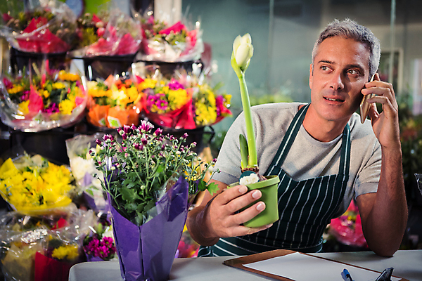 포토 JPG 해외이미지 식물 백인 직업 라이프스타일 남자 꽃 비즈니스 통신 탁자 무선통신 실내 말하기 대화 설명 앉기 성인 사람없음 30대 스마트폰 핸드폰 앞치마 외침 듣기 성장 잡기 연결 토론 꽃집 서비스 통화 질서 소매 주인 소통 마케팅 서류판 해외202105 해외포토 서양인 가구 컨셉 모션 사람 내부 생활 장년 전자제품 스마트기기 상점 사무용품 소리 예절 파일형식