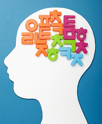 포토 JPG 스튜디오촬영 문자 교육 실내 한글 사람없음 머리 두뇌 뇌 글자교육 뇌구조 초성 국내포토 내부 신체부위 파일형식