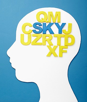 포토 JPG 스튜디오촬영 문자 알파벳 영어 교육 대문자 실내 사람없음 머리 두뇌 뇌 글자교육 뇌구조 국내포토 내부 신체부위 파일형식