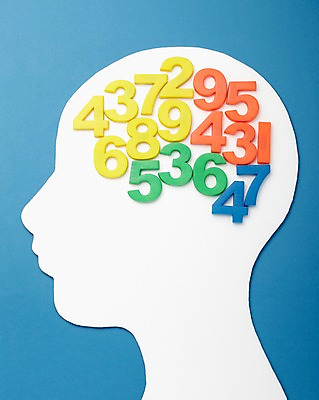 포토 JPG 스튜디오촬영 문자 교육 실내 사람없음 숫자 머리 두뇌 뇌 글자교육 뇌구조 국내포토 내부 신체부위 파일형식