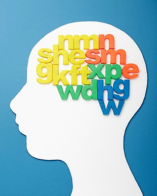 포토 JPG 스튜디오촬영 문자 알파벳 영어 교육 실내 사람없음 머리 두뇌 뇌 소문자 글자교육 뇌구조 국내포토 내부 신체부위 파일형식