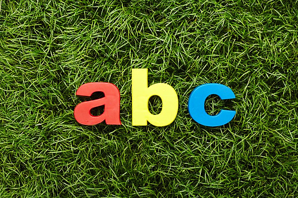 포토 JPG 스튜디오촬영 문자 알파벳 영어 교육 실내 잔디 사람없음 풀 B A 소문자 글자교육 C 국내포토 식물 내부 파일형식