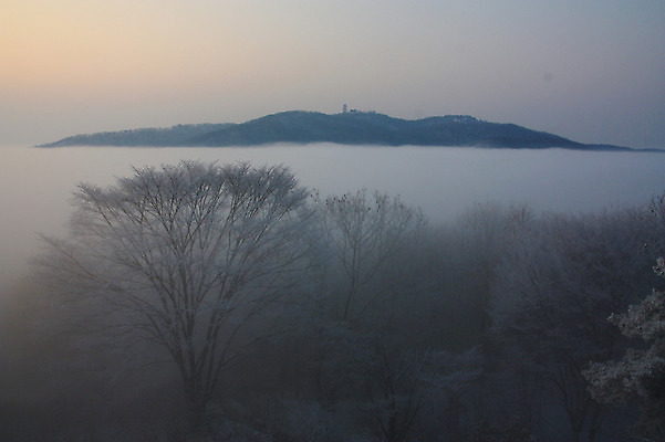 포토 JPG 주간 나무 식물 구름 계절 겨울 자연 풍경 사람없음 야외 일출 나뭇가지 운해 국내포토 자연요소 노을 생태계 파일형식 구름_자연