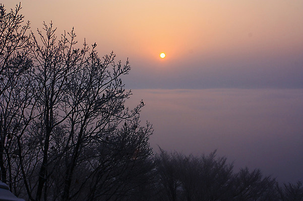 포토 JPG 나무 식물 구름 계절 겨울 자연 풍경 사람없음 야외 태양 일출 나뭇가지 운해 국내포토 자연요소 노을 생태계 파일형식 구름_자연