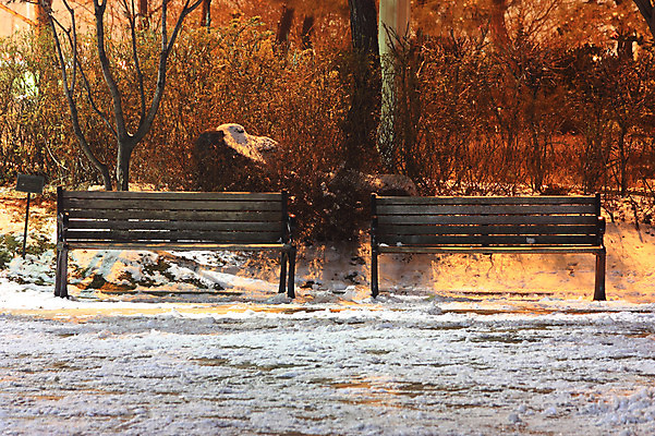 포토 JPG 나무 식물 계절 겨울 벤치 자연 풍경 사람없음 야외 나뭇가지 눈 국내포토 자연요소 의자 날씨 생태계 파일형식