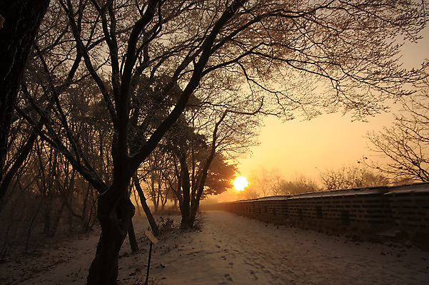 포토 JPG 주간 나무 식물 계절 벽 겨울 자연 풍경 사람없음 야외 태양 일출 나뭇가지 눈 성벽 운해 국내포토 자연요소 날씨 노을 생태계 파일형식 구름_자연