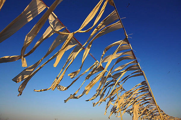 포토 JPG 주간 계절 줄 겨울 자연 바람 풍경 사람없음 야외 천 국내포토 자연요소 날씨 직물 생태계 파일형식