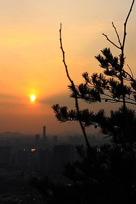 포토 JPG 나무 식물 계절 실루엣 겨울 자연 서울 풍경 사람없음 야외 태양 일몰 나뭇가지 국내포토 자연요소 한국 촬영기법 노을 생태계 파일형식