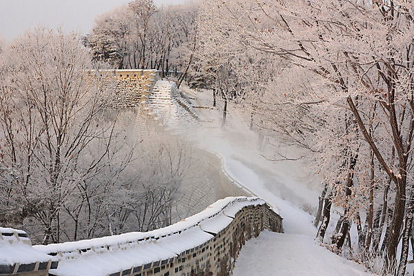 포토 JPG 주간 나무 식물 계절 설경 겨울 자연 풍경 사람없음 야외 담장 안개 운해 국내포토 자연요소 날씨 생태계 파일형식 구름_자연