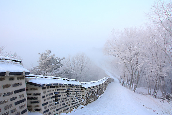 포토 JPG 주간 나무 식물 계절 설경 겨울 자연 풍경 사람없음 야외 담장 안개 운해 국내포토 자연요소 날씨 생태계 파일형식 구름_자연