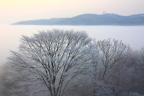 포토 JPG 나무 식물 계절 바다 설경 자연 눈꽃 풍경 사람없음 야외 안개 눈 운해 국내포토 자연요소 겨울 날씨 눈_날씨 생태계 파일형식 구름_자연
