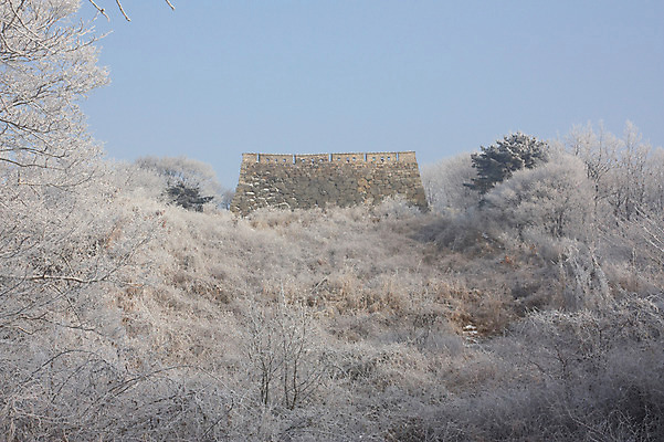 포토 JPG 주간 식물 계절 겨울 자연 한국 돌담 풍경 사람없음 야외 담장 성 숲 성벽 국내포토 자연요소 건축물 아시아 돌_바위 생태계 파일형식