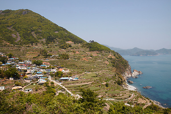 포토 JPG 바다 밭 주택 한국 논 풍경 사람없음 물 농경지 벼 농촌 남해 국내포토 자연요소 아시아 농업 곡류 건물 농장 시골 파일형식