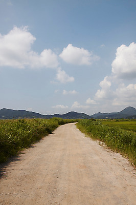 포토 JPG 주간 구름 계절 도로 길 자연 하늘 한국 풍경 사람없음 야외 흰구름 국내포토 자연요소 아시아 교통시설 생태계 파일형식 구름_자연