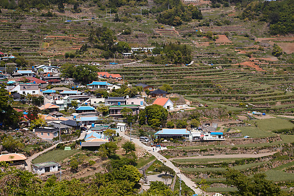 포토 JPG 주간 계절 밭 자연 한국 풍경 사람없음 야외 농경지 마을 농촌 국내포토 자연요소 아시아 농업 농장 시골 생태계 파일형식