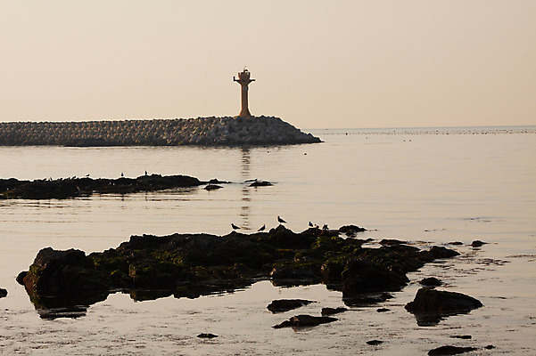 포토 JPG 주간 계절 바다 자연 한국 등대 풍경 해변 사람없음 야외 돌_바위 바위 국내포토 자연요소 아시아 생태계 파일형식