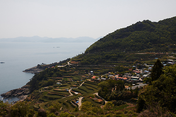 포토 JPG 주간 나무 식물 계절 바다 밭 자연 주택 한국 풍경 사람없음 야외 농경지 마을 농촌 남해 국내포토 자연요소 아시아 농업 건물 농장 시골 생태계 파일형식