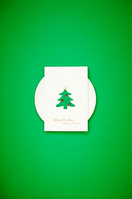 포토 JPG 모양 접시 크리스마스 크리스마스용품 사람없음 장식 초록색 크리스마스트리 오브젝트 국내포토 카드프레임 식기 기념일 컬러 프레임 용품 파일형식