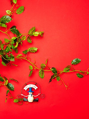 포토 JPG 식물 인형 줄기 잎 크리스마스 눈사람 크리스마스용품 나뭇잎 사람없음 장식 빨간색 오브젝트 국내포토 기념일 컬러 용품 파일형식