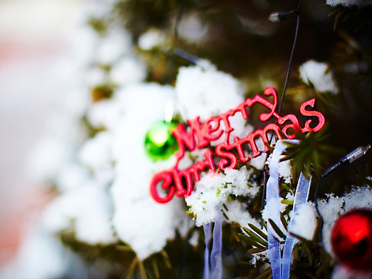 포토 JPG 문자 크리스마스 크리스마스용품 사람없음 장식 크리스마스트리 눈 솜 오브젝트 국내포토 자연요소 기념일 날씨 용품 파일형식