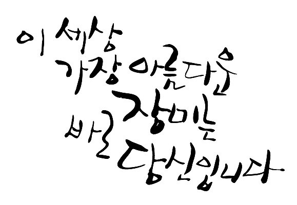 EPS 문자 손글씨 꽃 백그라운드 일러스트 캘리그라피 타이포그라피 글자캘리그라피 한글 사람없음 단어 뷰티 장미 당신 국내일러스트 식물 파일형식 벡터