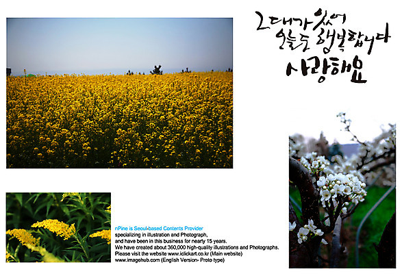 EPS 식물 편집이미지 문자 손글씨 꽃 캘리배경 백그라운드 꽃밭 꽃백그라운드 캘리편집 캘리그라피 사랑 타이포그라피 글자캘리그라피 한글 사람없음 단어 이미지편집 감정 파일형식 벡터