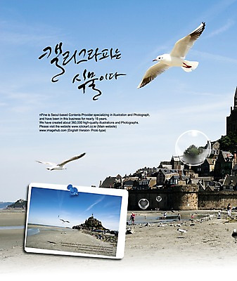 PSD 식물 편집이미지 문자 손글씨 바다 액자 캘리배경 백그라운드 캘리편집 캘리그라피 자연 갈매기 조류 프레임 틀 풍경 타이포그라피 글자캘리그라피 한글 해변 사람없음 단어 기념사진 이미지편집 동물 생태계 파일형식