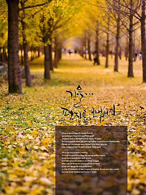 PSD 식물 편집이미지 문자 손글씨 계절 캘리배경 백그라운드 낙엽 잎 캘리편집 캘리그라피 나뭇잎 풍경 타이포그라피 글자캘리그라피 한글 사람없음 단어 가을 편지 이미지편집 파일형식