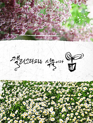 PSD 식물 편집이미지 문자 손글씨 꽃 캘리배경 백그라운드 꽃밭 꽃백그라운드 캘리편집 캘리그라피 타이포그라피 글자캘리그라피 한글 사람없음 단어 이미지편집 파일형식