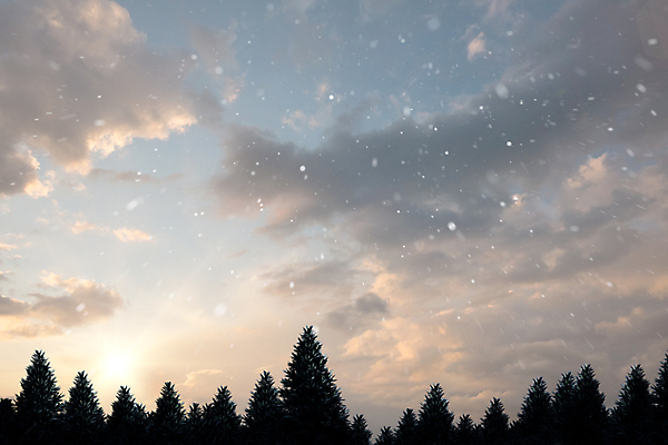 포토 JPG 해외이미지 나무 겨울 자연 풍경 사람없음 컴퓨터그래픽 평화 환경 디지털 얼음 추위 숲 전나무 눈내림 카피스페이스 해외202105 해외포토 자연요소 식물 계절 컨셉 눈_날씨 그래픽 공백 생태계 파일형식