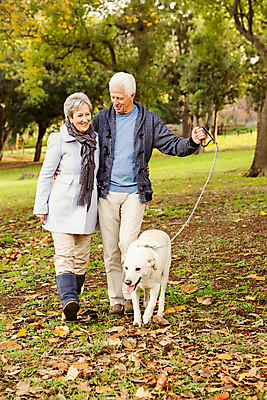 포토 JPG 해외이미지 백인 라이프스타일 커플 공원 여자 노년 남자 행복 관계 자연 안내 함께함 사랑 미소 야외 두명 초록색 평화 걷기 환경 우정 가을 시골 개 60대 은퇴 래브라도리트리버 겨울옷 70대 해외202105 해외포토 서양인 옷 계절 공공시설 감정 컬러 컨셉 겨울 포유류 모션 표정 사람 성인 생활 친구 리트리버 생태계 파일형식