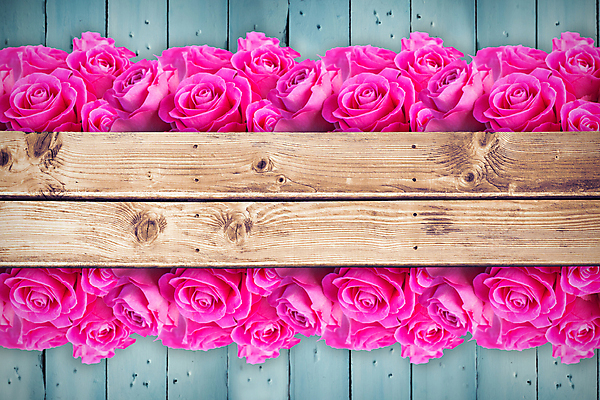 포토 JPG 해외이미지 직업 응시 꽃 행복 줄기 분홍색 백그라운드 잎 오렌지 일러스트 텍스트 응원 상상 성공 바닥 아이디어 서기 사람없음 목재 컴퓨터그래픽 그래픽 빨간색 초록색 파란색 단어 울타리 갈색 노란색 디지털 봄 자신감 그룹 널 낟알 엉덩이 박수 만족 질감 펜싱 감탄 구두점 기르기 슬로건 스타일 카피스페이스 유행어 해외202105 해외포토 나무 식물 문자 시선 계절 감정 스포츠 컬러 컨셉 과일 재료 모션 손짓 신체부위 담장 유행 공백 구두상점 돌봄 파일형식