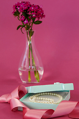 포토 JPG 해외이미지 전통 라이프스타일 계절 꽃 리본 종교 분홍색 목걸이 유리 휴가 아이디어 건강 창조 선물 사랑 이벤트 사람없음 장식 선물상자 유행 꽃병 축제 희망 놀람 도전 축하 오픈 투명 화려 재산 고급 우아함 유혹 보석 스마트 기회 잔치 소원 돌봄 터키석 카피스페이스 해외202105 해외포토 식물 감정 컬러 컨셉 장신구 모션 재질 표정 생활 금융 상자 공백 광석 파일형식