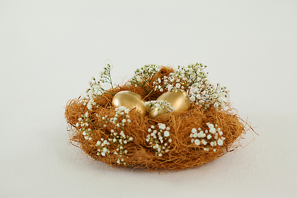 포토 JPG 해외이미지 전통 라이프스타일 계절 꽃 기독교 종교 탁자 표면 휴가 부활절 아이디어 선물 사람없음 장식 빛 갈색 보라색 축제 희망 놀람 도전 흰색 나뭇가지 축하 그리기 황금 둥지 볏짚 수집 스마트 유기농 기회 잔치 부활절계란 기념품 소원 모음 염색 핸드메이드 해외202105 해외포토 나무 식물 웰빙 기념일 감정 컬러 가구 컨셉 모션 표정 한글 생활 계란 짚 오브젝트 파일형식