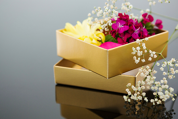 포토 JPG 해외이미지 전통 라이프스타일 계절 꽃 리본 음료 줄기 컨셉 통신 검은배경 아이디어 창조 선물 사람없음 장식 선물상자 상자 반사 축제 놀람 도전 하트 축하 인사 신선 오픈 우아함 스마트 상쾌 잔치 향기 터키석 해외202105 해외포토 모양 식물 감정 백그라운드 표정 생활 검은색 예절 보석 냄새 파일형식