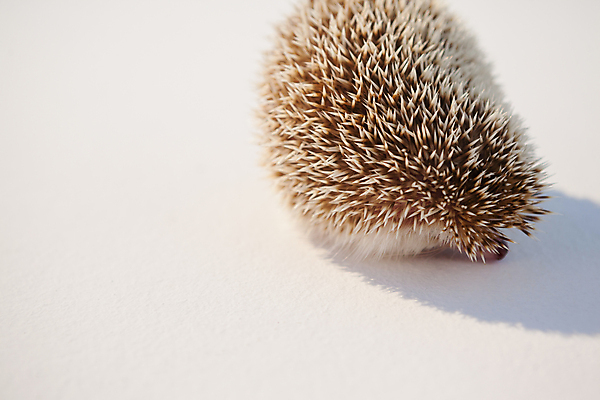 포토 JPG 해외이미지 사람없음 해외202105 해외포토 파일형식