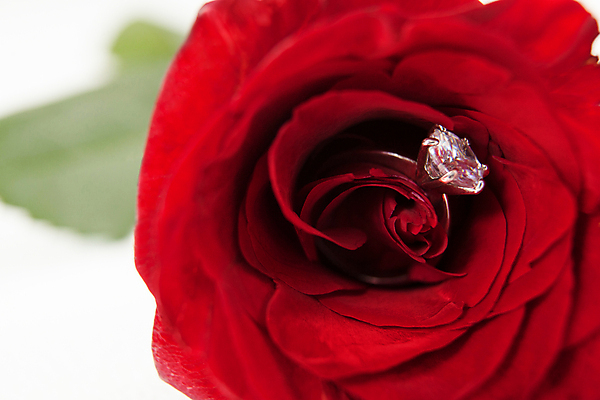 포토 JPG 해외이미지 사람없음 해외202105 해외포토 파일형식