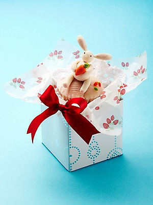 포토 JPG 스튜디오촬영 기념일 리본 인형 포장 선물 이벤트 사람없음 선물상자 토끼인형 국내포토 실내 상자 토끼 파일형식