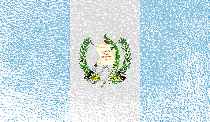 포토 JPG 해외이미지 아이콘 디자인 배너 백그라운드 사람없음 그래픽 가로 깃발 물개 심볼 사인 무역 신분 애국심 공화국 과테말라 엘리먼트 전국 정확 해외202004 해외202105 해외포토 나라 산업 컨셉 포유류 바다동물 중앙아메리카 파일형식