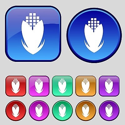 EPS 해외이미지 식물 디자인 음식 백그라운드 잎 2 꽃무늬 밭 채소 일러스트 자연 건강 옥수수 미술 농장 노란색 라벨 검은색 수확 신선 상품 낟알 밀 먹기 심볼 사인 유기농 귀 팝콘 내추럴 고립 배급 채식주의자 해외202004 해외202105 해외일러스트 웰빙 꽃 컬러 무늬 농업 모션 문화예술 곡류 프레임 신체부위 생태계 채식 파일형식 벡터