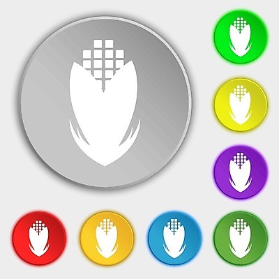 EPS 해외이미지 식물 디자인 음식 백그라운드 잎 2 꽃무늬 밭 농업 채소 일러스트 재료 자연 건강 옥수수 미술 세트 상자 노란색 정원 식사 흰색 신선 낟알 밀 먹기 심볼 묘사 사인 유기농 날것 팝콘 내추럴 고립 배급 채식주의자 해외202004 해외202105 해외일러스트 웰빙 꽃 산업 컬러 무늬 모션 문화예술 곡류 생태계 채식 파일형식 벡터